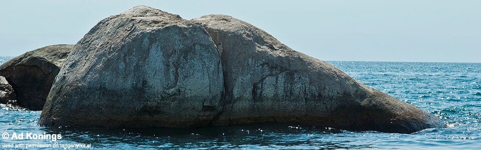 Popo (Kizumbi) Rocks, Lake Tanganyika, Tanzania