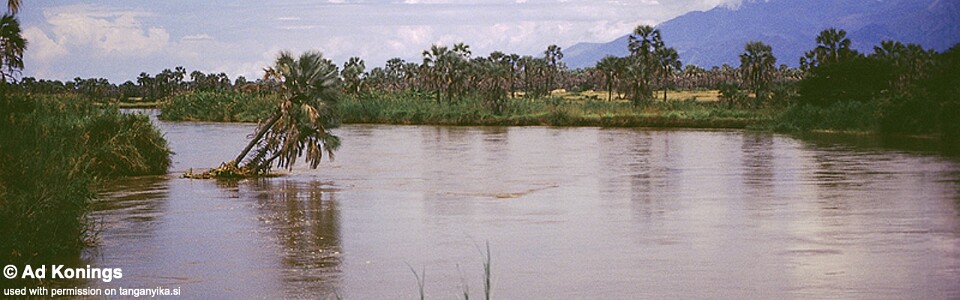 Ruzizi River, Lake Tanganyika, Burundi